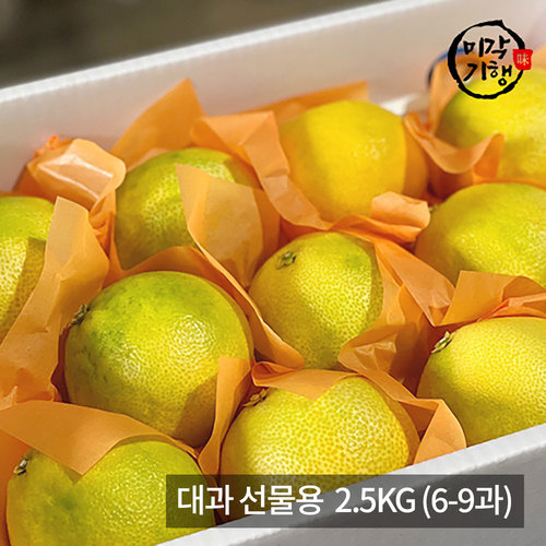 [미각기행] 제주 황금향 대과 선물용 2.5KG (6-9과)