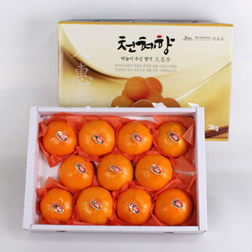 [내츄럴초이스] 명품천혜향세트 2호 (3kg 8-10과)