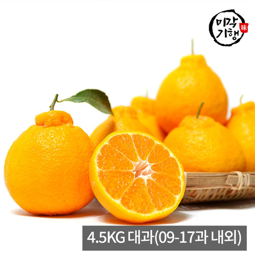 [미각기행] 제주 한라봉 가정용 4.5KG 대과(09-17과 내외)