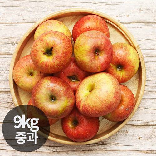 달옥농산 부사(가정용) 사과 9kg 중과 (37~42과)